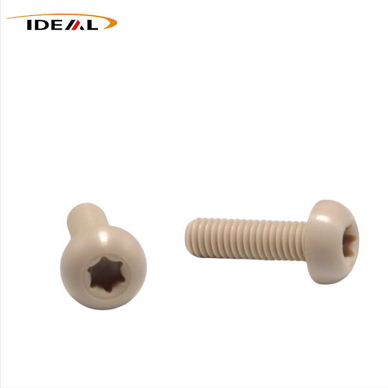 PEEK screws torx